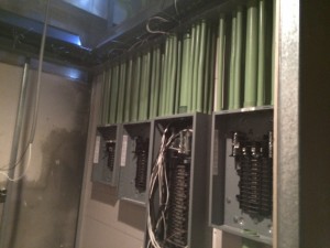 IMG 0167 (1)  